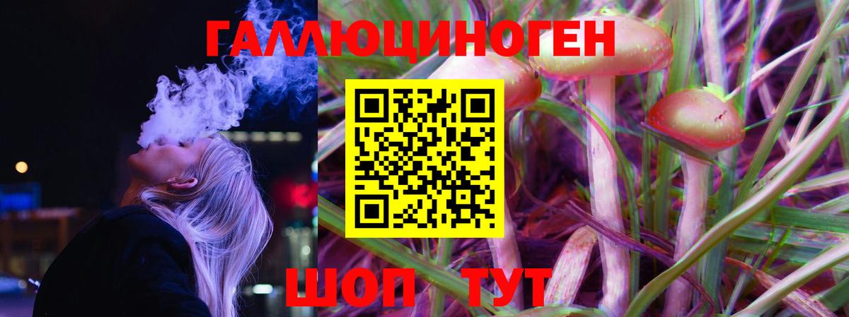 наркотики  Вход с VPN  Нарьян-Мар  Псилоцибиновые грибы Psilocybe 